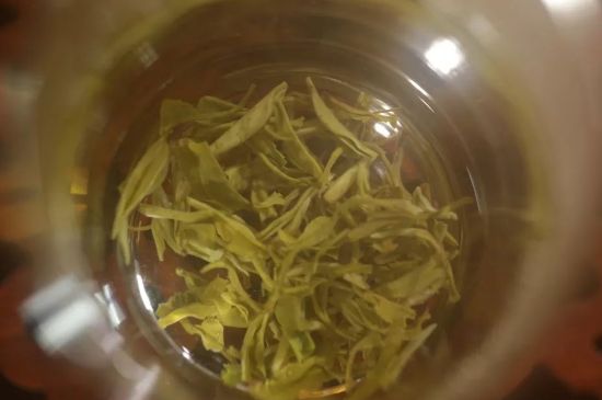 碧螺春正確泡法和飲用，碧螺春茶泡茶方法與溫度