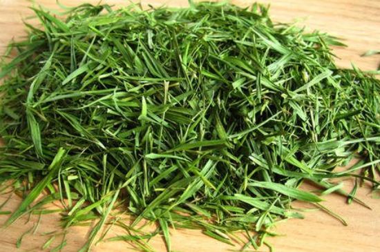 哪類人不適合喝石竹茶，石竹茶的功效與禁忌