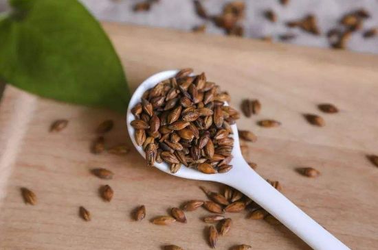 大麥茶上火嗎，喝大麥茶會不會上火？