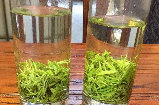 黃金茶的功效及禁忌癥，黃金茶有什么副作用嗎？