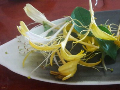 喝茶治口臭嗎，什么茶治口臭好？