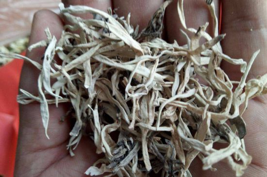 麗江雪茶的禁忌，白雪茶的副作用