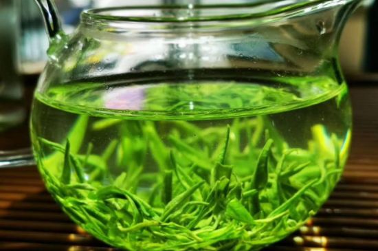 喝黃金茶禁忌，什么人不能喝黃金芽茶？