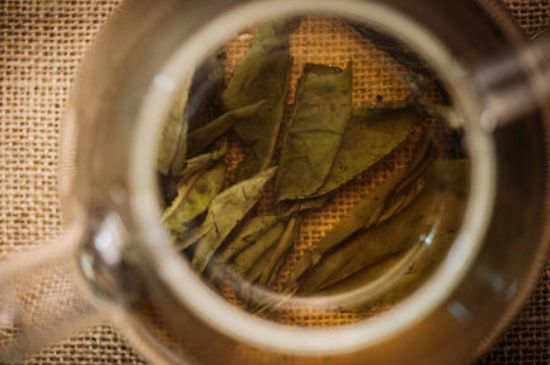 苦丁茶副作用，苦丁可以經(jīng)常喝嗎？