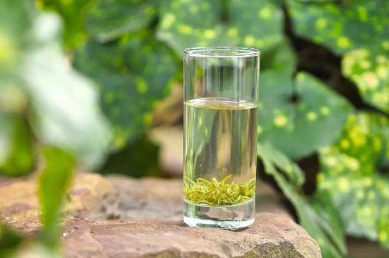 碧螺春沖泡三要素，碧螺春怎么泡才正確？