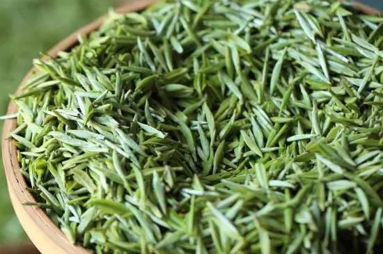 雀舌茶的沖泡方法，怎么沖泡雀舌茶？