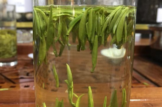 雀舌茶的副作用，雀舌茶什么人不能喝？