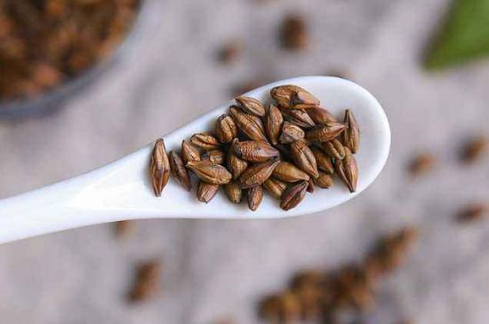 飯店的大麥茶為什么那么香，自己泡的蕎麥茶沒飯店香
