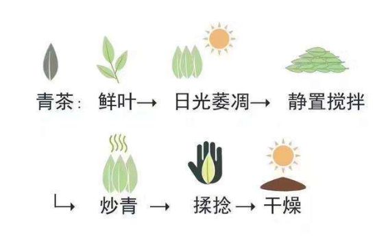 茶葉名稱大全和圖片，茶葉名字大全三四個字！