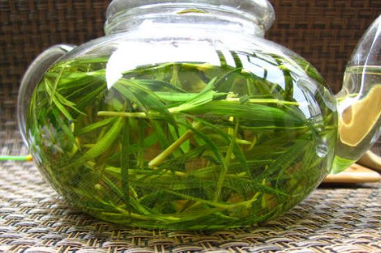 竹葉茶的禁忌，竹葉泡茶的功效禁忌