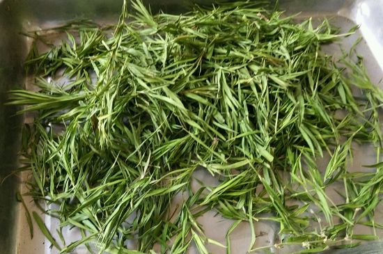 哪類人不適合喝石竹茶，石竹茶的功效與禁忌