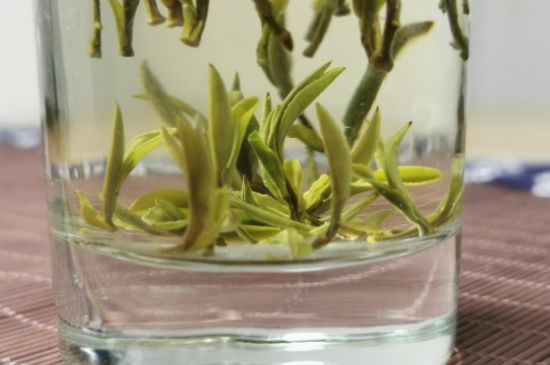 黃山毛峰怎么沖泡，黃山毛峰要多少溫度的水泡？