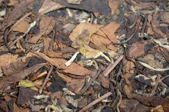 福鼎白茶能長時間悶泡嗎，老白茶可以悶著喝嗎？