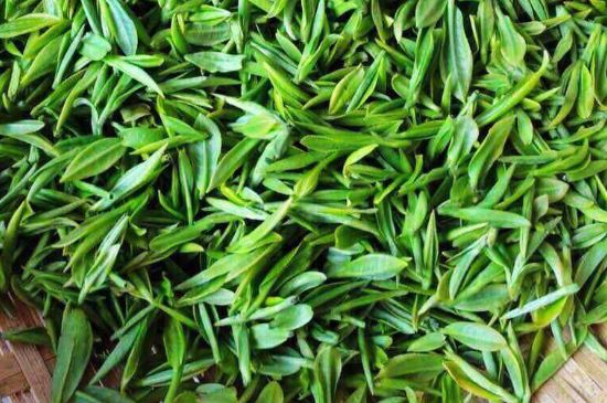 云霧綠茶的功效及禁忌，哪些人不適合喝云霧茶