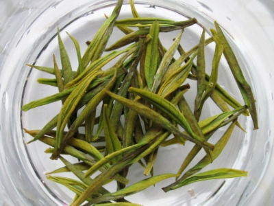 安吉白茶的功效與作用，簡(jiǎn)單概括安吉白茶功效