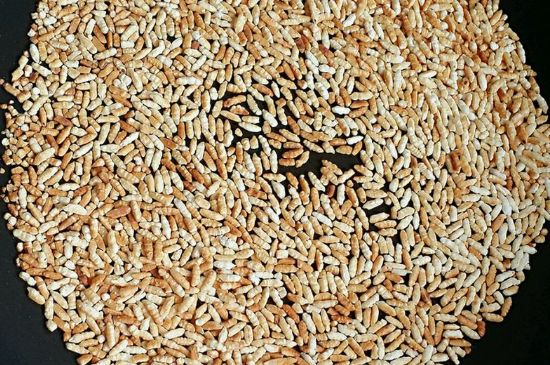 玄米茶是紅茶嗎，玄米茶怎么喝