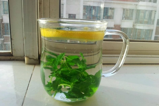 薄荷茶的功效與作用，喝薄荷茶有什么好處？
