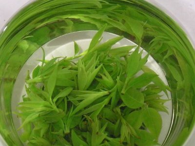 茶葉具有什么功效，茶葉的功效與作用大全