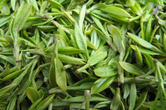 世界最貴的茶葉排行榜，十大最貴的茶