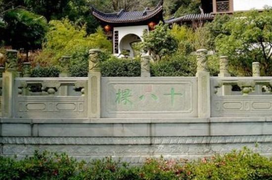 世界最貴的茶葉排行榜，十大最貴的茶