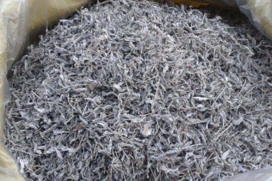 怎樣辨別莓茶發(fā)霉了，莓茶發(fā)霉和白霜的區(qū)別