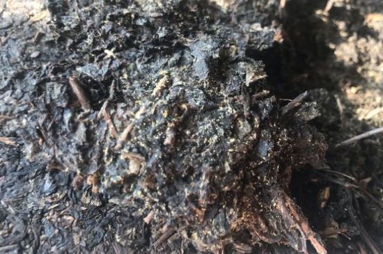 茯茶可以放在冰箱里存放嗎，茯磚茶如何儲(chǔ)存？