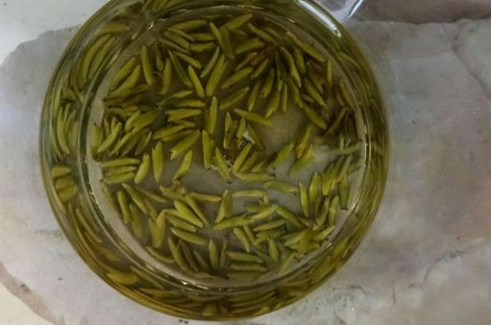 茶葉在哪里買比較好，哪里能買到好的茶葉