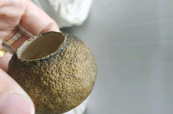 小青柑多少錢一盒，新會(huì)小青柑普茶價(jià)格一斤多少