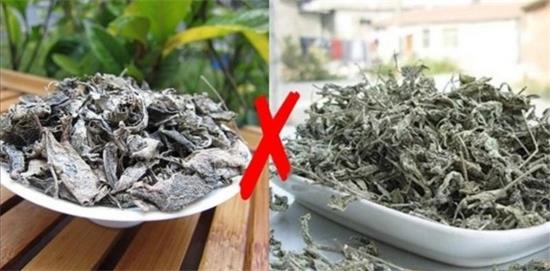 張家界茅巖莓茶與藤茶是同一種茶嗎，藤茶跟莓茶一不一樣？