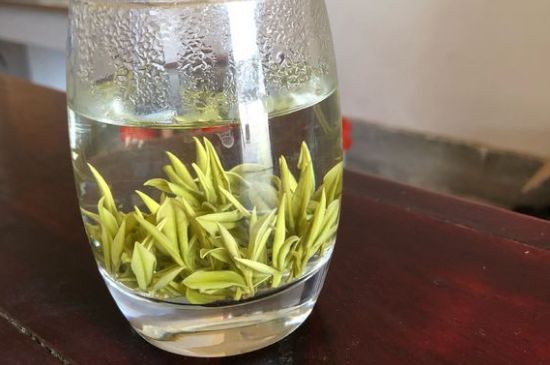 安吉白茶耐寒嗎，白茶適合放冰箱嗎