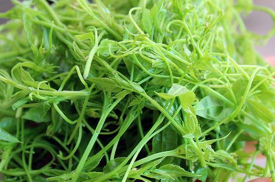 茅巖莓茶別名是什么，莓茶別名叫藤茶嗎？