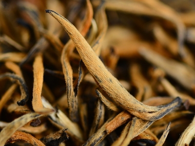 怎么知道什么茶葉適合自己，怎么判斷自己適合喝什么茶？