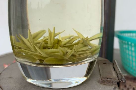 安吉白茶耐寒嗎，白茶適合放冰箱嗎