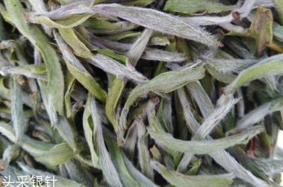 春茶季怎么辨別白毫銀針的好壞，好的白毫銀針如何選購(gòu)？