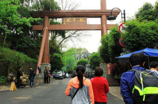 杭州買龍井茶攻略，怎么買到正宗的西湖龍井？