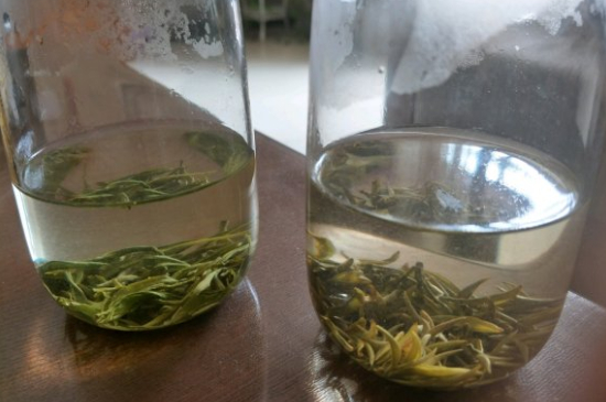 真假碧螺春泡水后區(qū)別，蘇州洞庭碧螺春怎樣鑒別好壞？