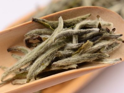 白毫銀針放幾年最好，白毫銀針什么年份最好？