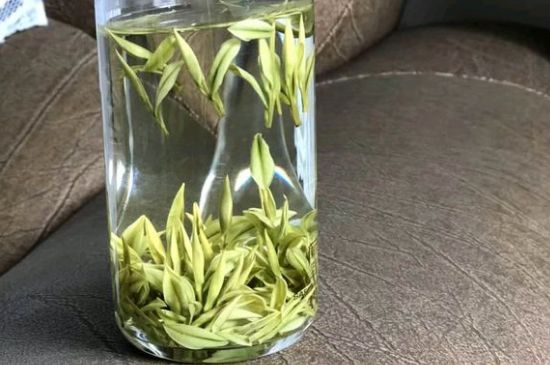 安吉白茶夏天怎么保存，安吉白茶能冷凍儲存嗎？