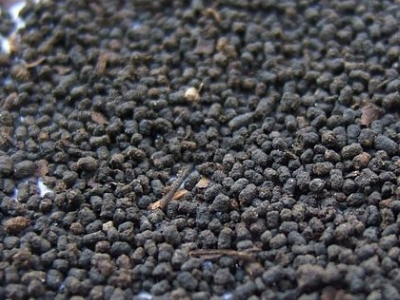 圓形顆粒狀茶是什么茶，像飼料一樣一粒粒的是什么茶？