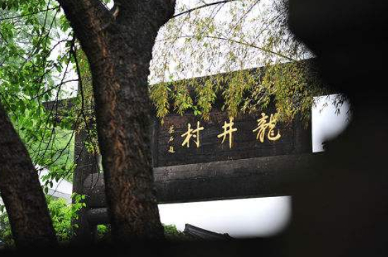 杭州買龍井茶攻略，怎么買到正宗的西湖龍井？