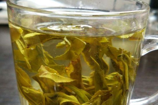 茉莉龍珠可以和什么一起泡茶，茉莉龍珠茶能加蜂蜜嗎？