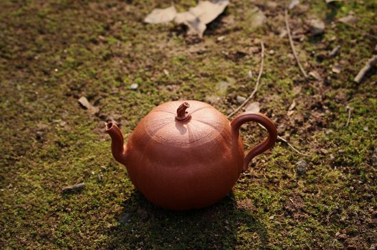 紫砂壺泡什么茶最佳，紫砂壺一般泡什么茶？