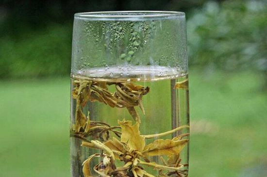 茉莉龍珠什么人不能喝，茉莉龍珠茶什么體質(zhì)不能喝？