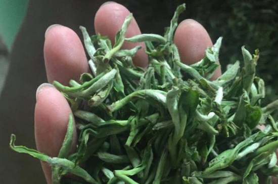 茉莉茶如何制作曬干，自制茉莉茶的做法