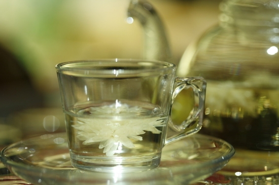 菊花茶天天喝行嗎，每天喝菊花泡茶喝好嗎？