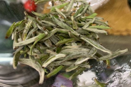蒸汽煮茶器適合什么茶，蒸汽煮茶器適合用綠茶嗎？
