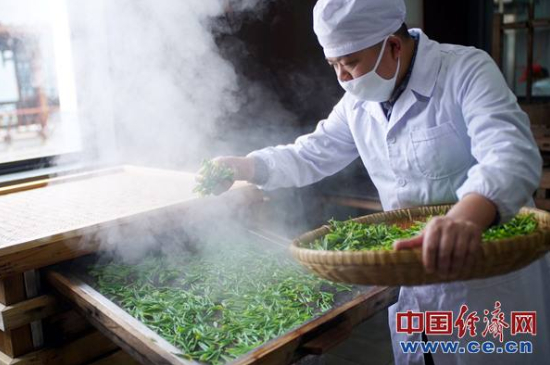 炒青綠茶與綠茶的區(qū)別，烘青和炒青哪個好喝？