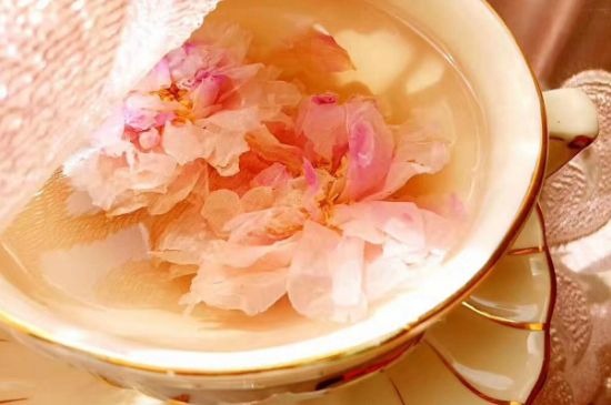玫瑰花茶一周喝幾次，玫瑰花茶可以天天喝嗎？