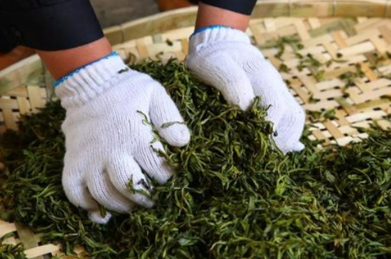 綠茶加工工藝流程圖，綠茶的加工制作包含哪幾個(gè)步驟？