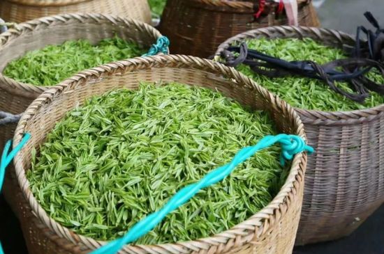 茶葉怎么炒制才香，怎樣炒茶葉更香？